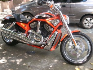 harley-davidson-396631_640